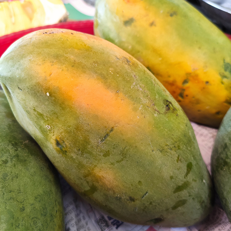 Đu đủ đỏ (1 trái)